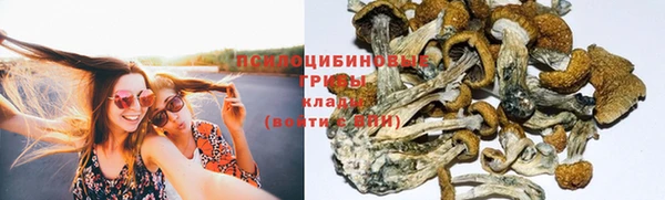 ALPHA-PVP Покров