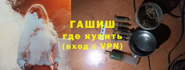 сатива Покачи
