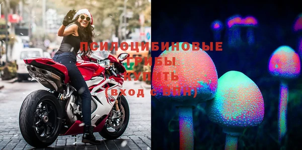 сатива Покачи
