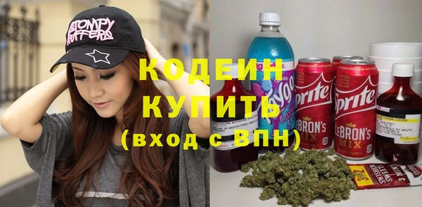 сатива Покачи