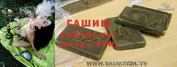 сатива Покачи