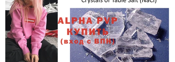 сатива Покачи