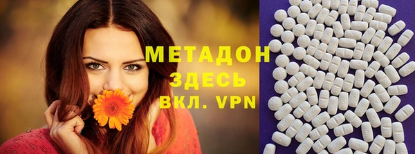 сатива Покачи
