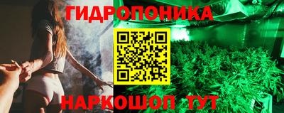 гашик Нягань